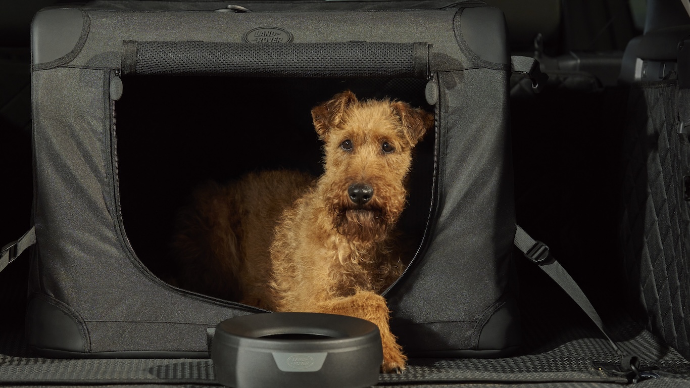 Foldable Pet Carrier image