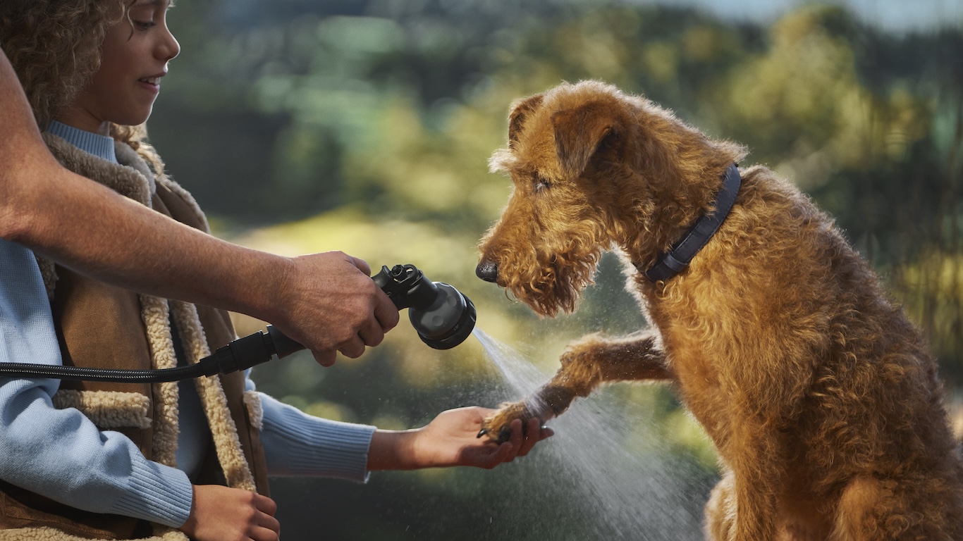 Portable Rinse System