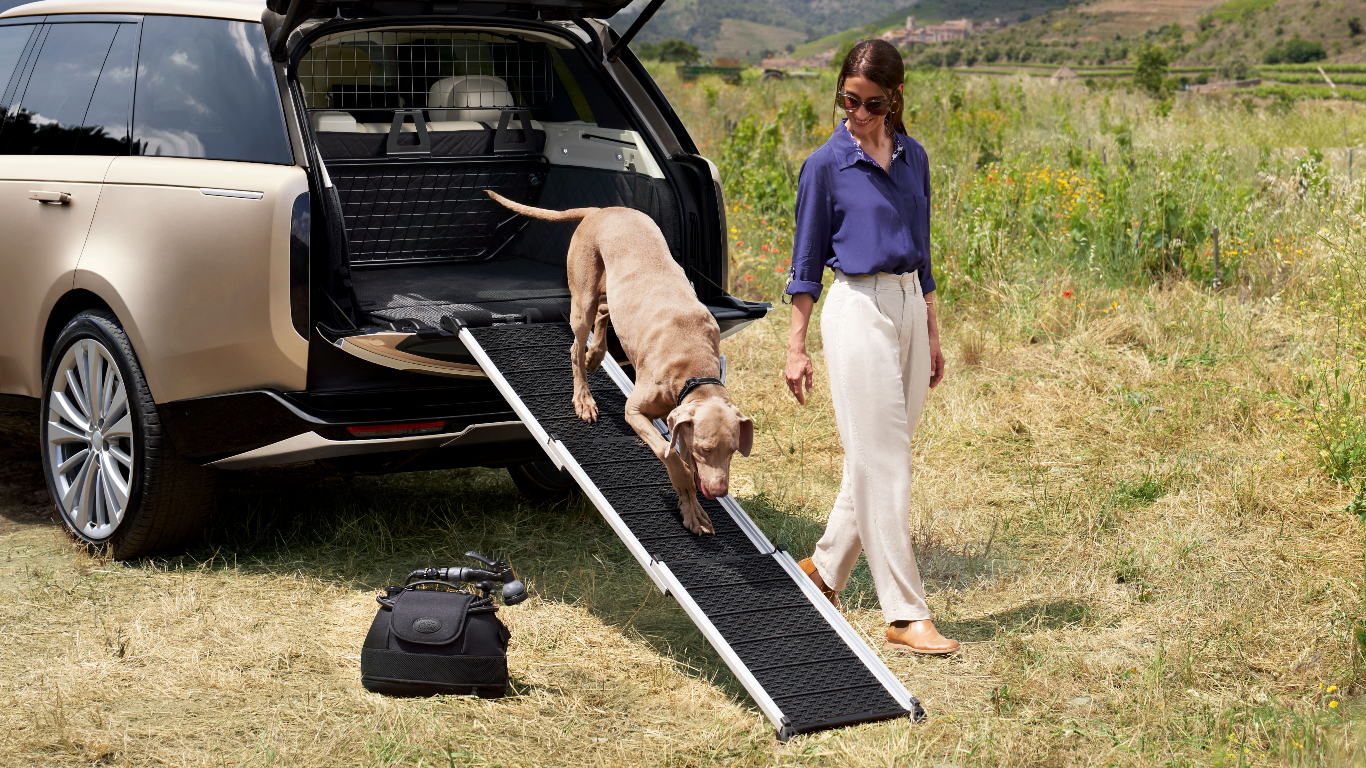 Pet Access Ramp image